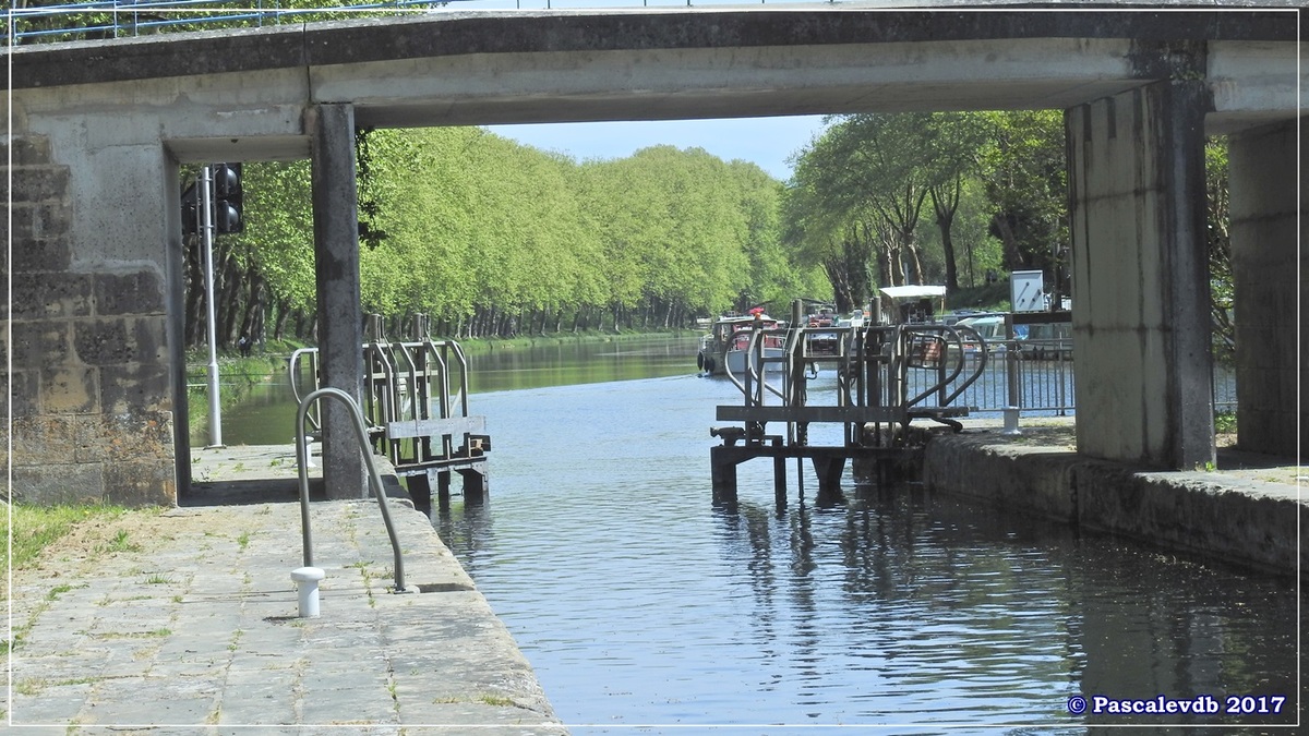 Printemps le long du canal latéral à la Garonne - Avril 2017 - 6/10