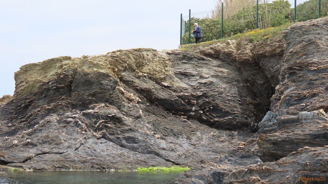 la presqu'île de Giens - 13