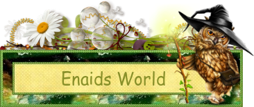 Enaids World