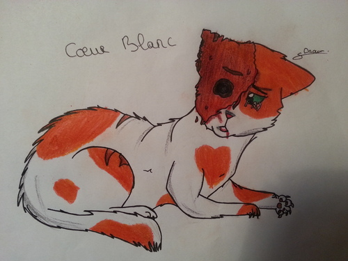 Cœur Blanc !!