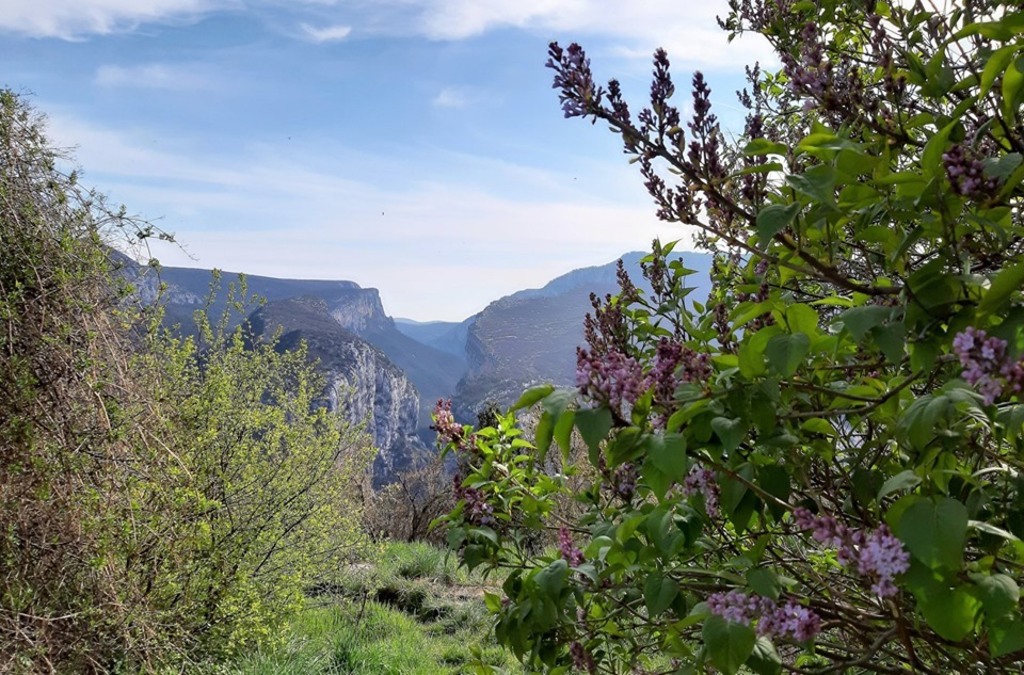 La montagne des vautours (2)...A suivre  