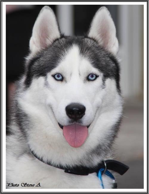 Ilouky (2 ans)