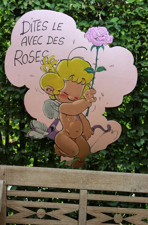 Portes ouvertes du 10,11 et 12 juin 2016: 'Au fil des Roses'-La Rose du Petit Prince