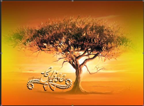 A la tombée de la nuit !!!! PS