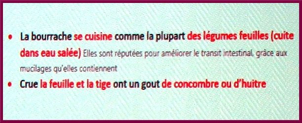 Gilles Seytre a présenté  au club des Anciens de Nod sur Seine, une étude fort intéressante sur les propriétés de plantes que nous pouvons cultiver dans nos jardins