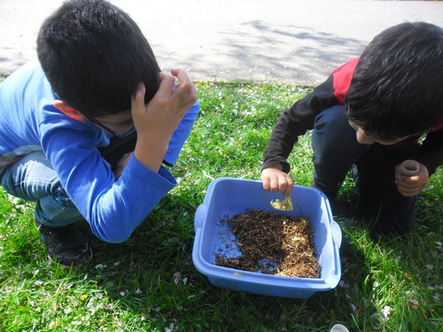 Les secrets du compost