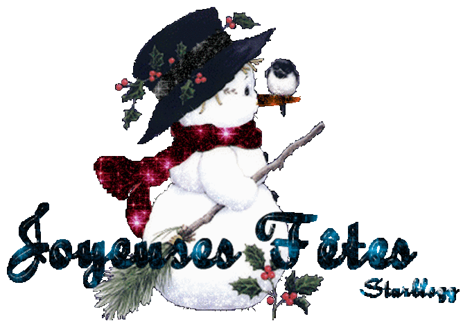 "Joyeuses Fêtes" - Petit bonhomme de neige à l'oiseau...