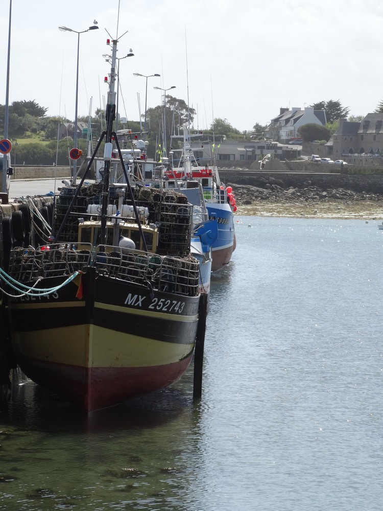 Chalutiers dans le port de Roscoff...