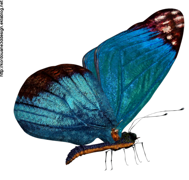 Tube de papillon bleu (image-render)