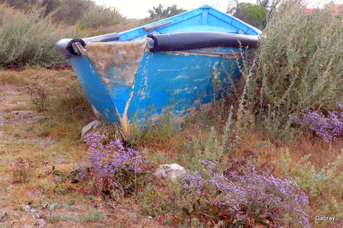 Barcarès : la vieille barque ...