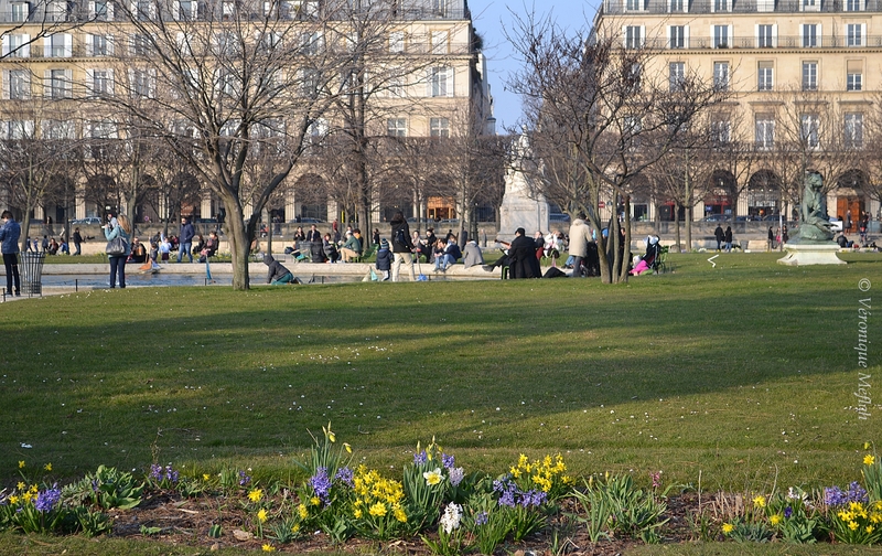 Jardin des Tuileries : un printemps bien timide ...