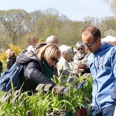 Fête des plantes de St Jean de Beauregard : une édition de printemps 2019 riche en émotions...