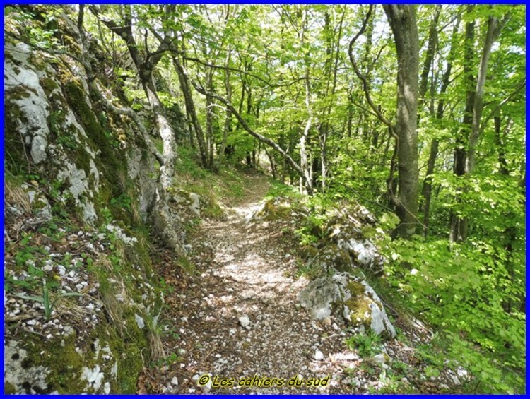 Massif de Sainte-Baume, le Paradis