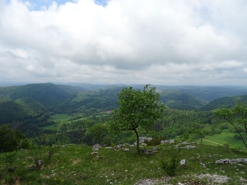 "Le Haut Jura de Jeanine" 1 - Mercredi 09 mai 2018