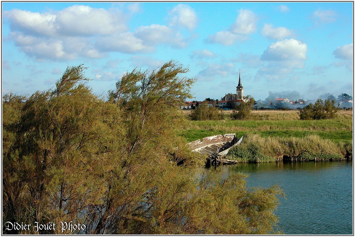 (85) Vendée - L'île d'Olonne (2)