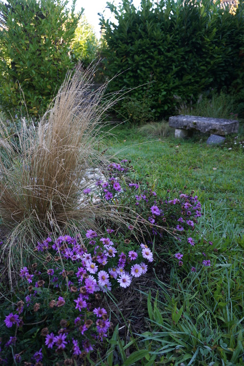 des étoiles dans le jardin