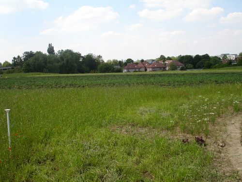 5 juin '13 - Champ/Chant des Cailles le 5 juin