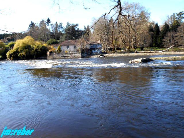Balade printanière sur les bords de Vienne (2)