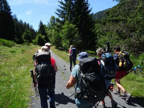 "Vosges 2022 - Après-midi du 11 juillet 2022 - Etang du Devin-Longemer"