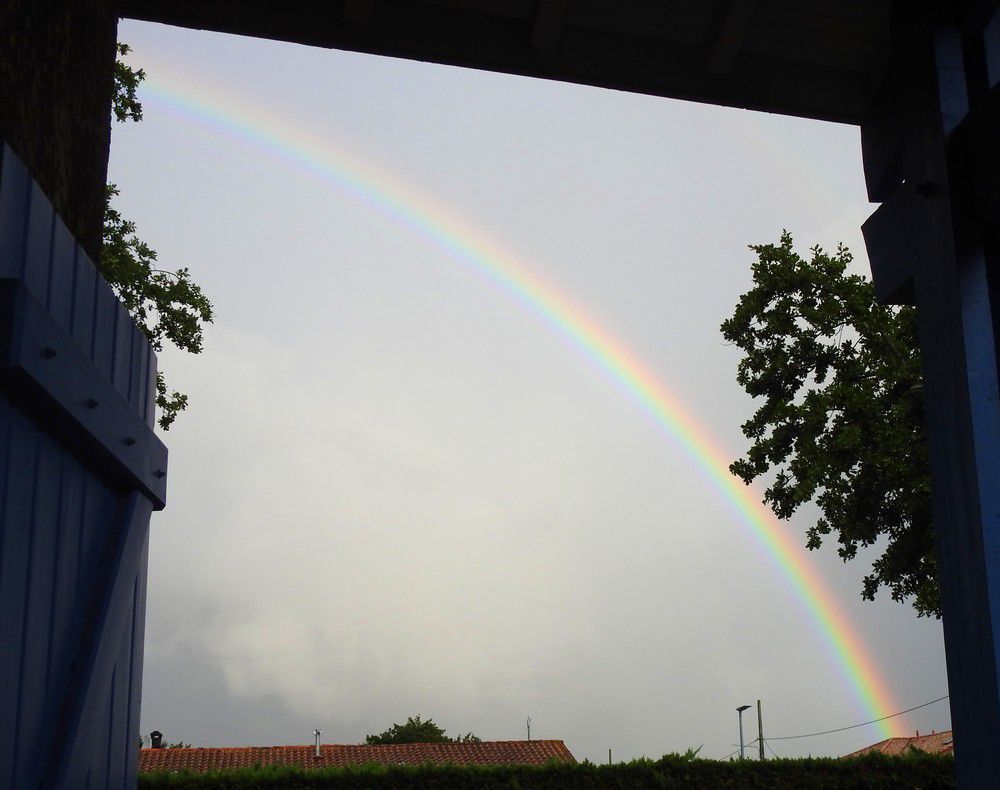 Petit bonheur du matin : un arc-en-ciel...