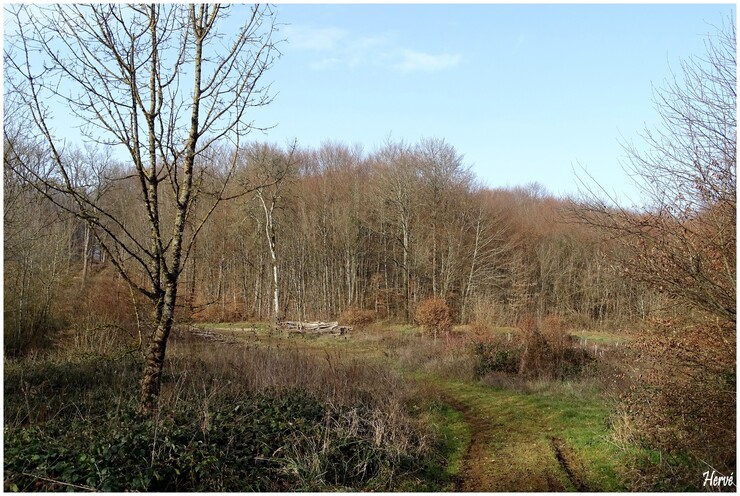 Randonnée: Le sentier sur les roches 2/2