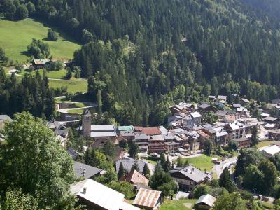 L'ARLY ET SES CELEBRES GORGES