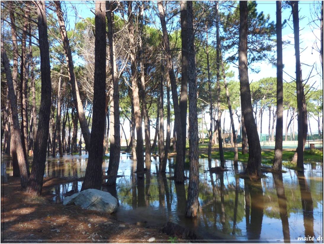 Les pieds dans l'eau