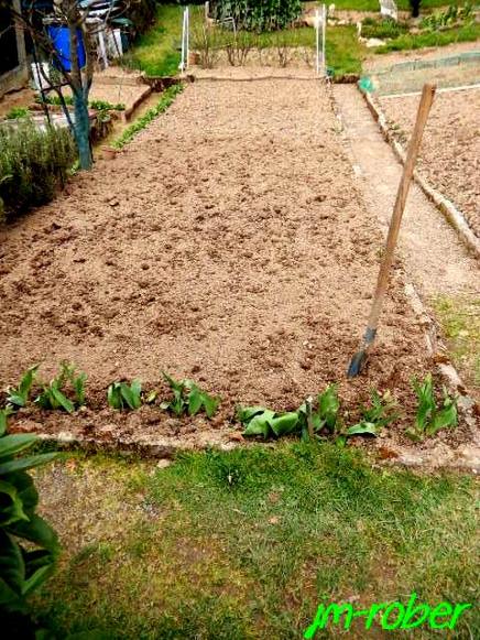 Le Potager, un concentré de bienfaits pour la santé physique