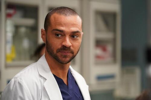 Grey's Anatomy : Jesse Williams quitte la série avant le final de la saison 17