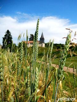 Rilhac Lastour 87 : Le rendez-vous des jardins « le jardin de l'An mil à nos jours » une belle inspiration médièvale (1/2)