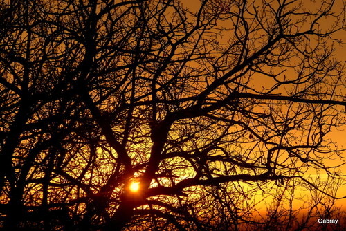 Un soir de décembre à Vieille Toulouse : fin de jour ...