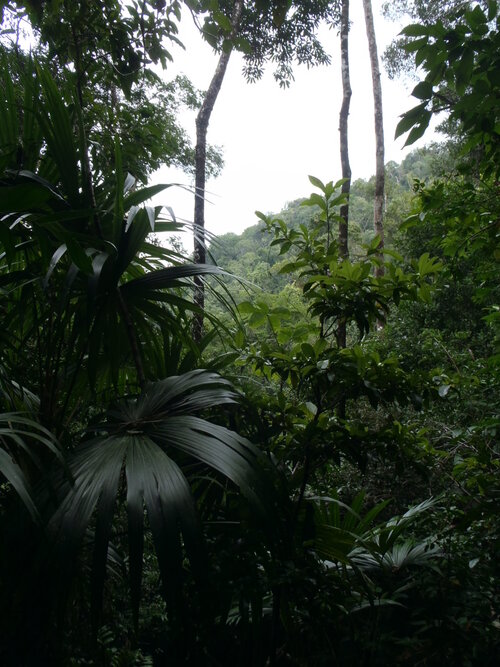 Izabal et la côte caribéenne