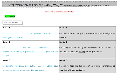 Dictées flash programmation Picot de Katia : ma version pour élèves dys et en difficulté
