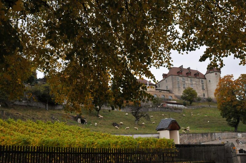 Visite à Gruyères (2)