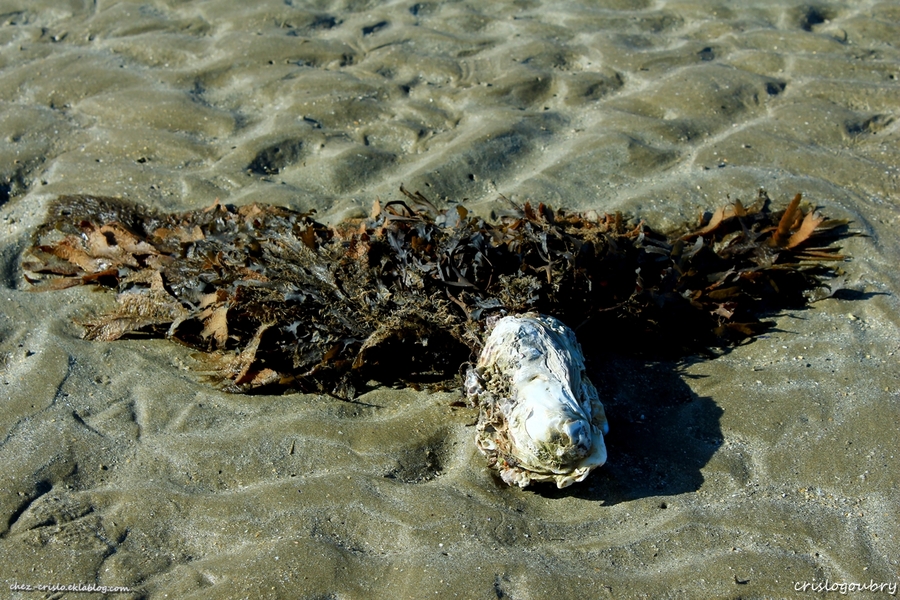 sur le sable..