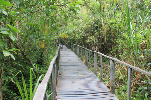 Parc national de Cahuita