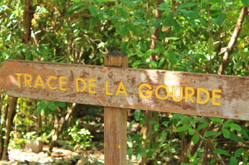 Balade de Anse à la Gourde à la Pointe Des Châteaux 