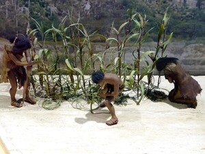 Mexico Musée préhistoire figurines 2