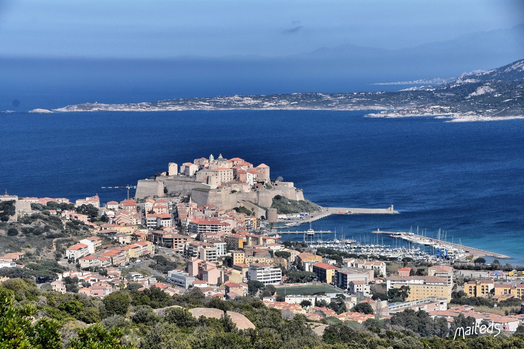 Calvi