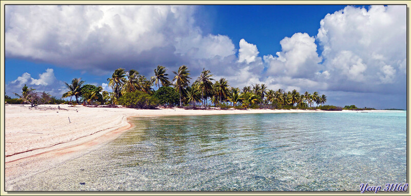 Le Motu Fatonu et son sable rose - Atoll Tikehau - Tuamotu - Polynésie française