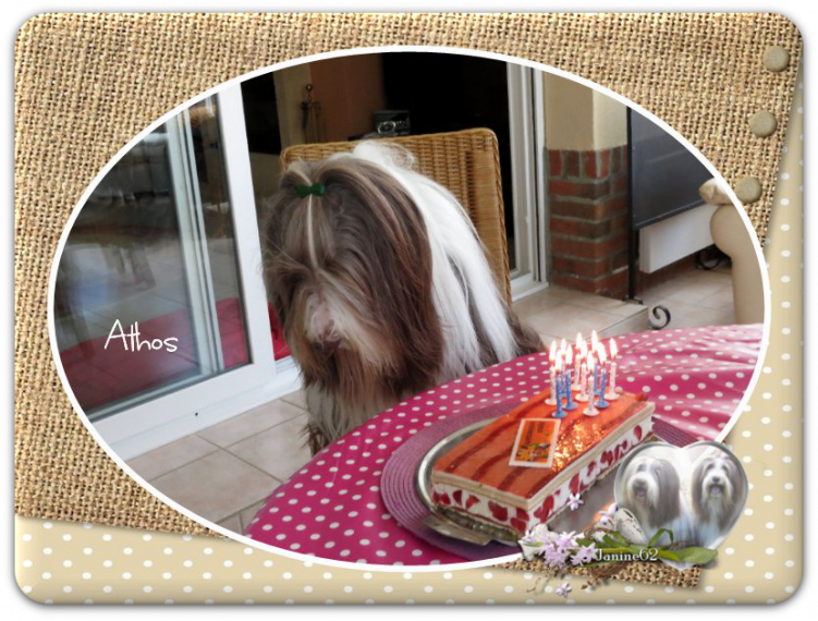 ♥ Athos fête ses 10 ans ♥