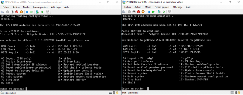Cluster de Pfsense (VIP CARP)