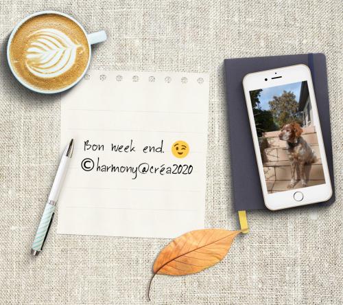 Bon week end à tous.