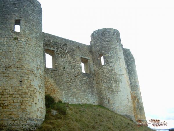 le château des Benauges (arbis) gironde