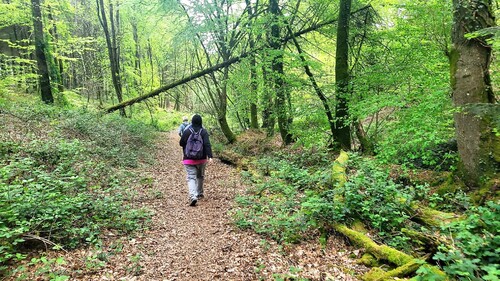 Ce jeudi 4 mai , rando de 10km à Camors .Nous étions 14 randonneurs a marcher dans cette sublime forêt .