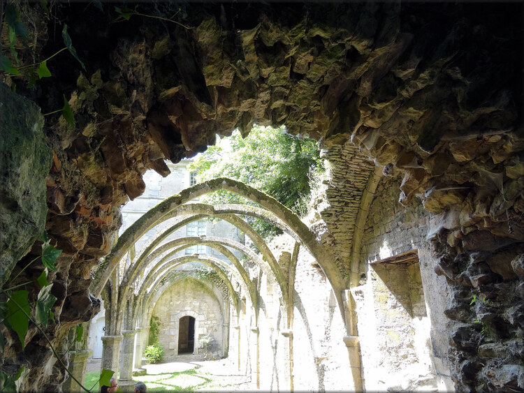 Photo des voûtes de l'abbaye royale-St Michel de l'Herm