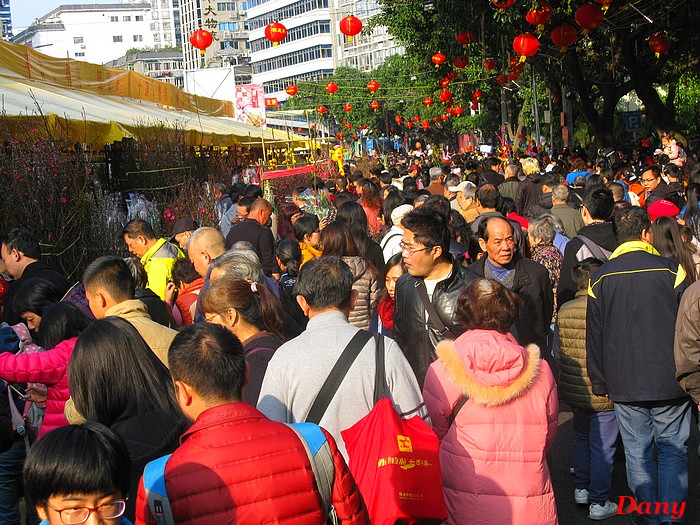 Chine 2015-2em marché aux fleurs-1