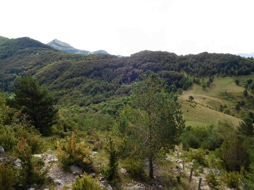 * LAMANERE le col de Malrens 