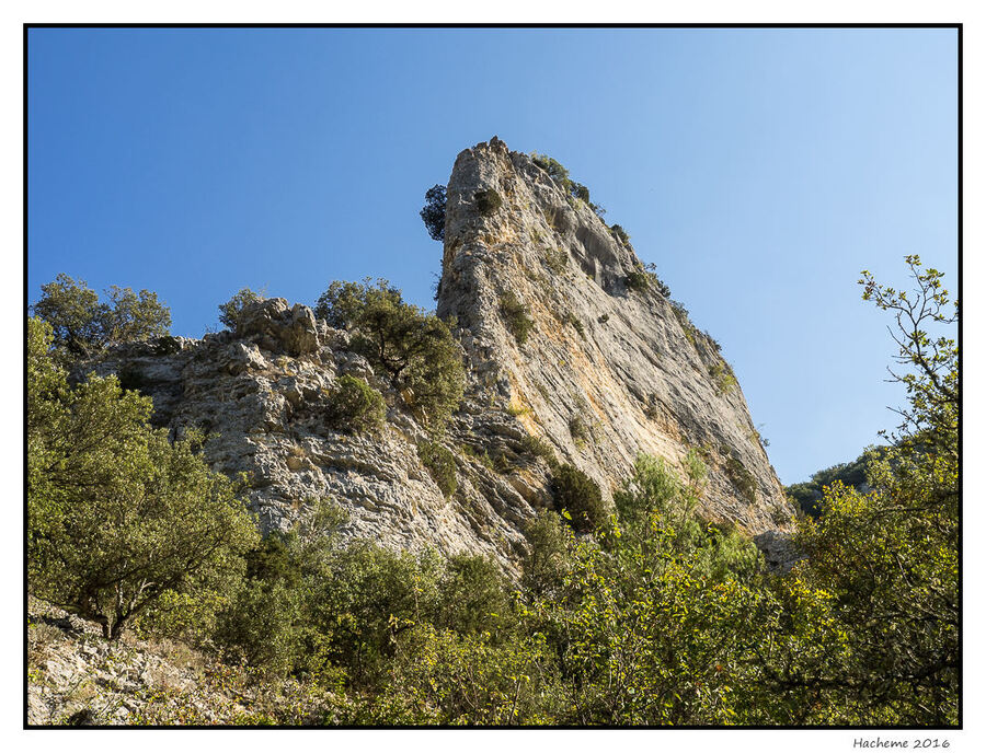 Notre-Dame des Anges