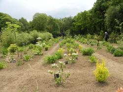 Retour au jardin de Landrevarzec 